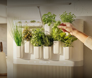 HiPlant Ora 智能种植设备实拍 - APP News 智慧生活资讯配图