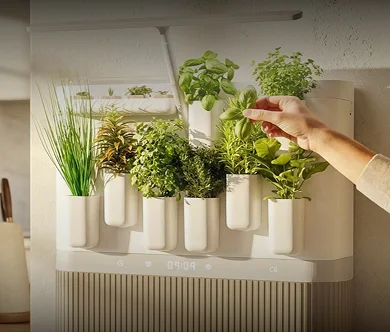 HiPlant Ora 智能种植设备实拍 - APP News 智慧生活资讯配图